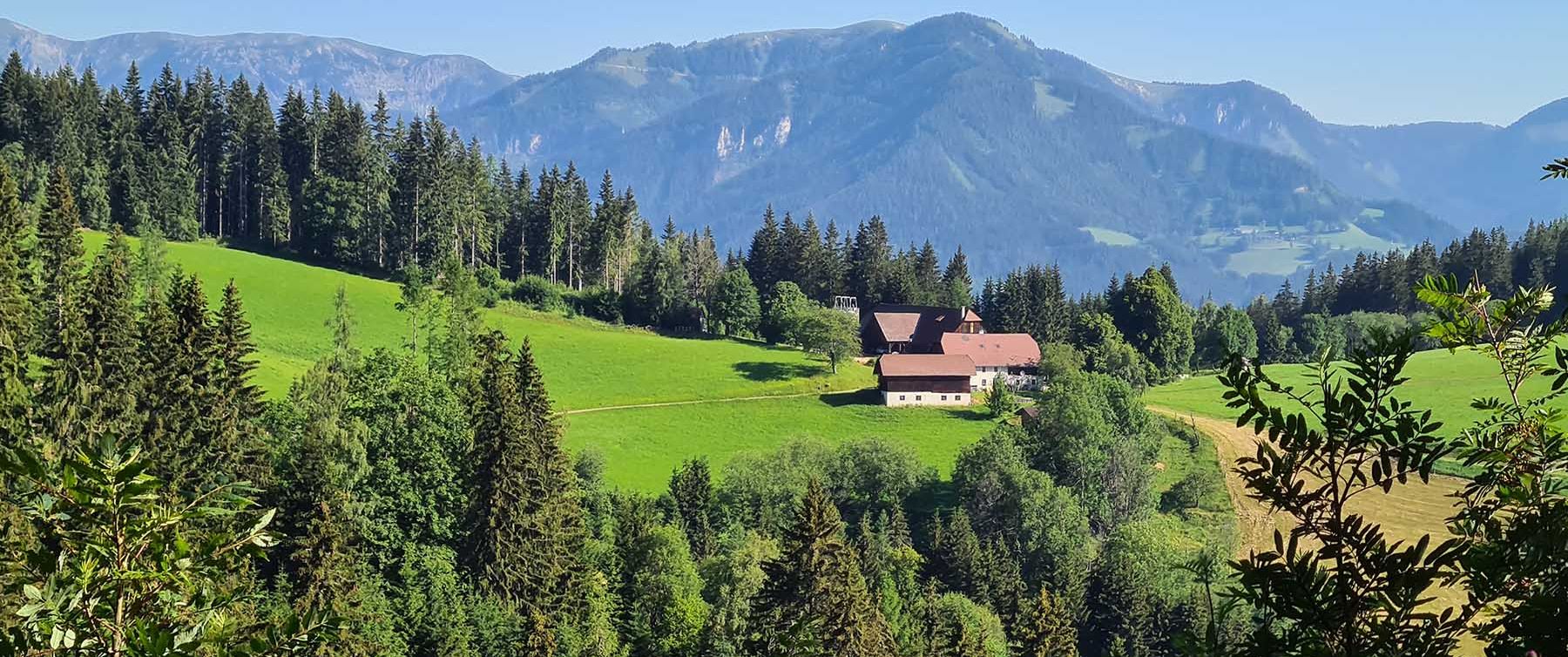 Mann Sucht Frau Sankt Marein Im Mürztal